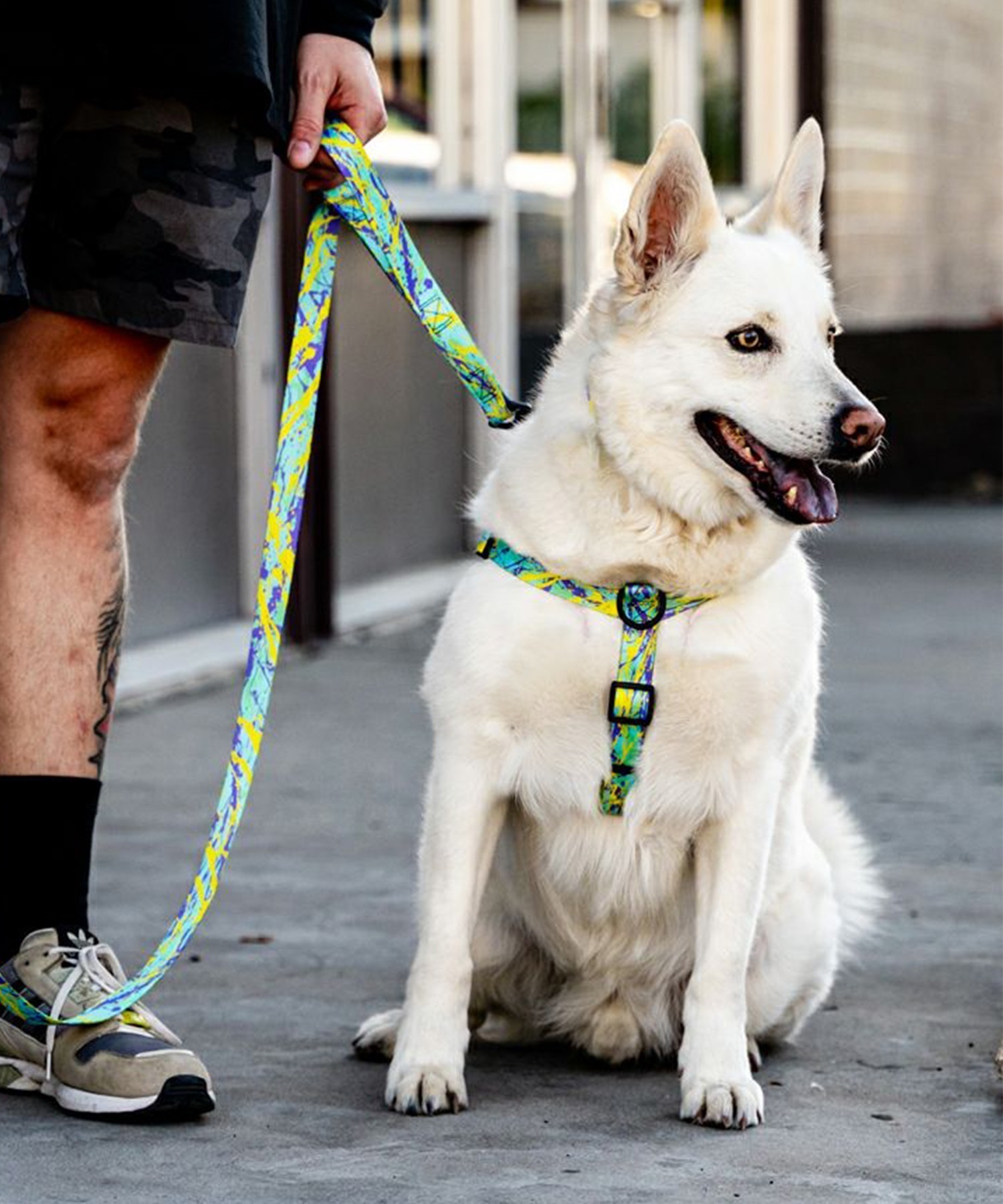 WOLFGANG ウルフギャング 犬用 ハーネス ModernCanvas Harness Mサイズ 小型犬用 中型犬用 胴輪 モダンキャンバス グリーン系 WH-002-103(GR-M)