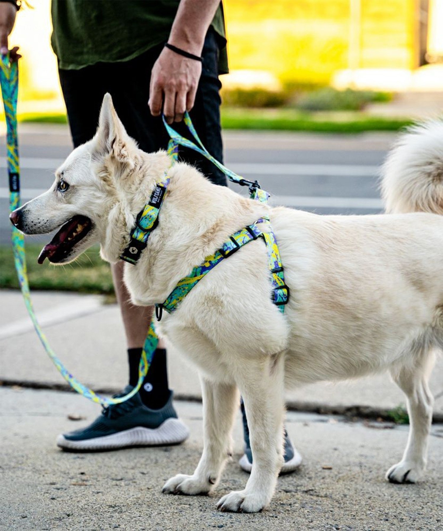 WOLFGANG ウルフギャング 犬用 ハーネス ModernCanvas Harness Mサイズ 小型犬用 中型犬用 胴輪 モダンキャンバス グリーン系 WH-002-103(GR-M)