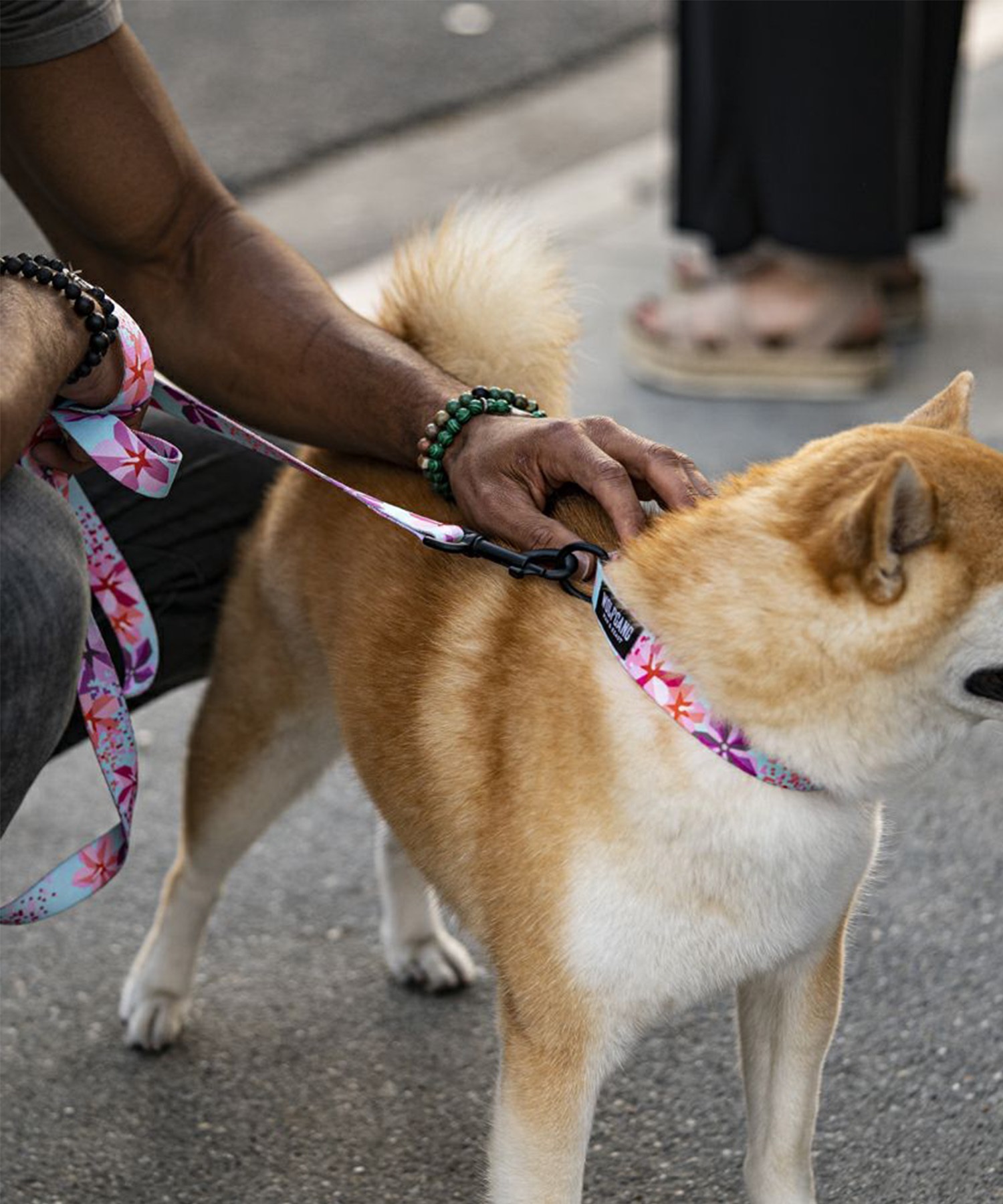 WOLFGANG ウルフギャング 犬用 リード DigiFloral Leash Lサイズ 中型犬用 大型犬用 デジフローラル リーシュ ピンク系 WL-003-96(PK-L)