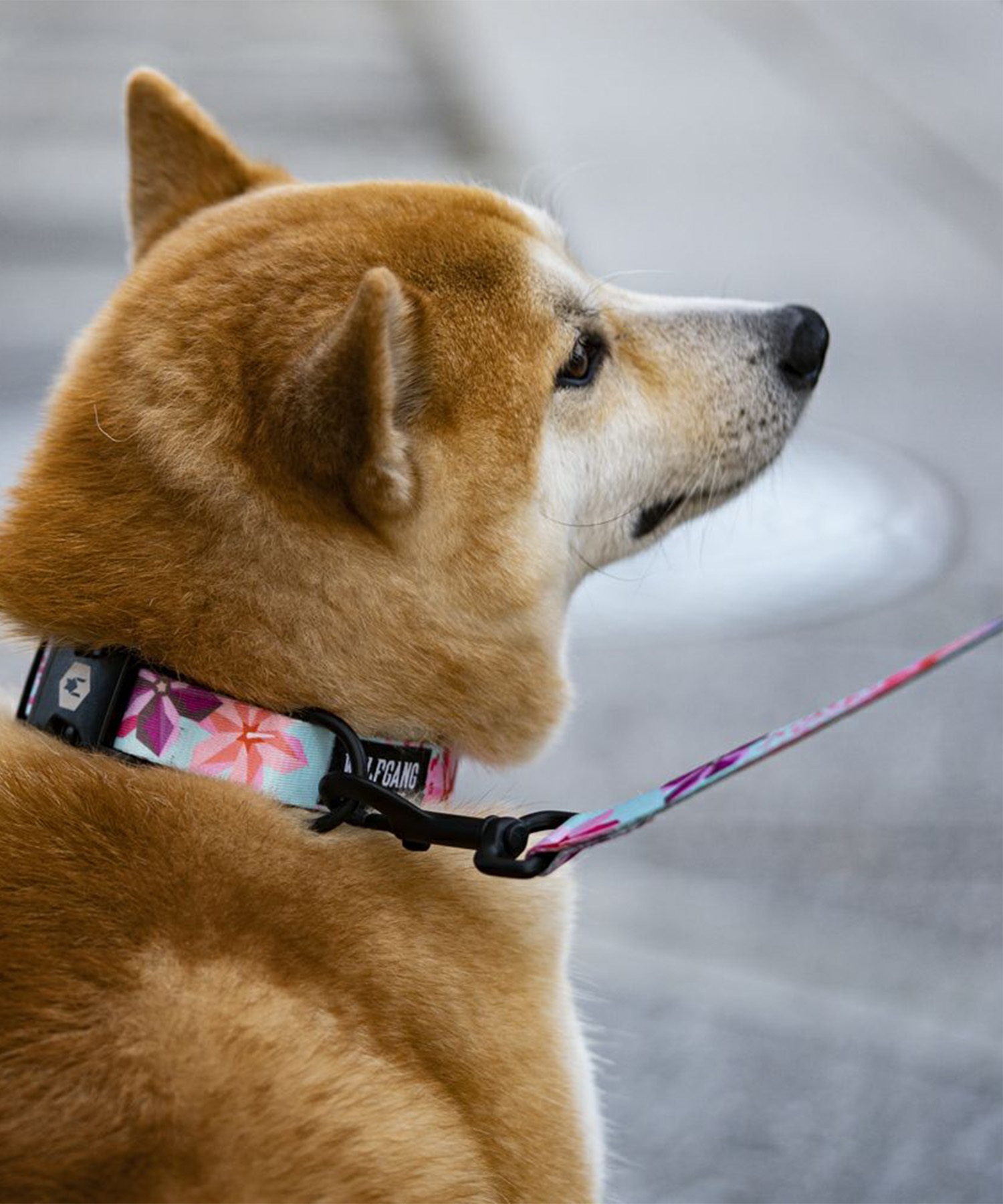 WOLFGANG ウルフギャング 犬用 リード DigiFloral Leash Lサイズ 中型犬用 大型犬用 デジフローラル リーシュ ピンク系 WL-003-96(PK-L)