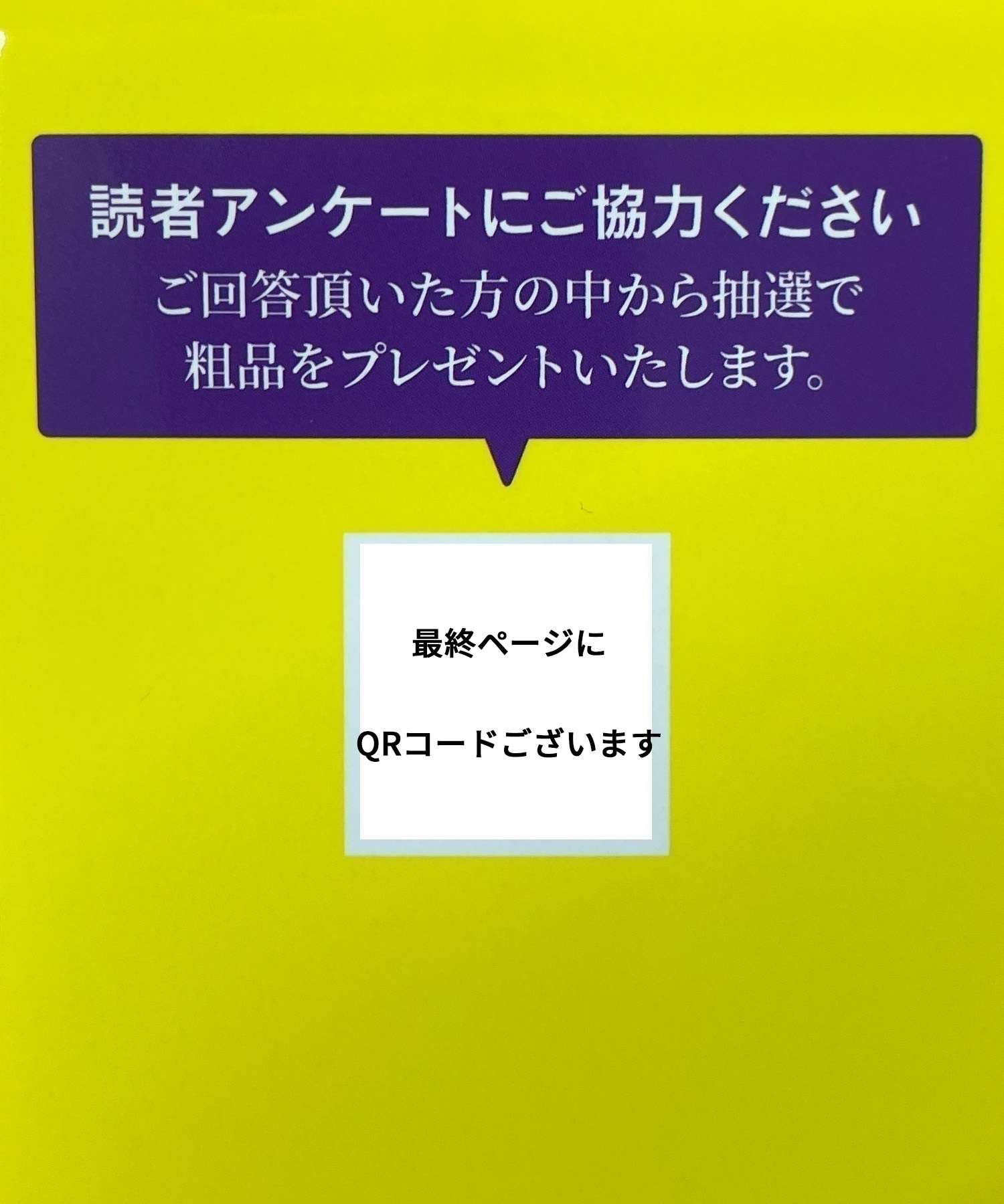 カナヤマヨシオ: 株式会社ムラサキスポーツ創業者・金山良雄の軌跡(312-13X19)