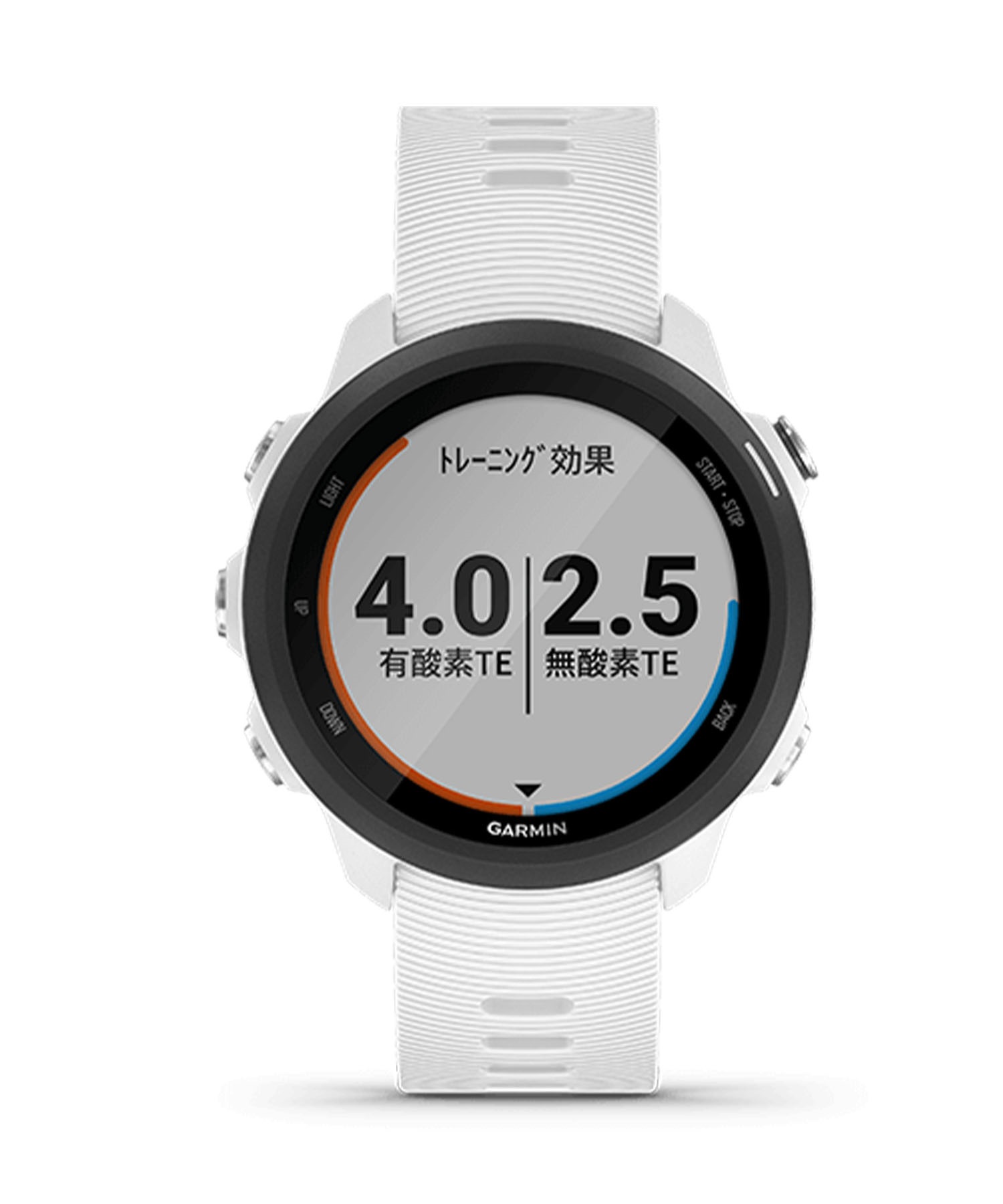 GARMIN ガーミン 腕時計 ForeAthlete 245 Music 010-02120-71 時計｜ムラサキスポーツオンラインストア 通販