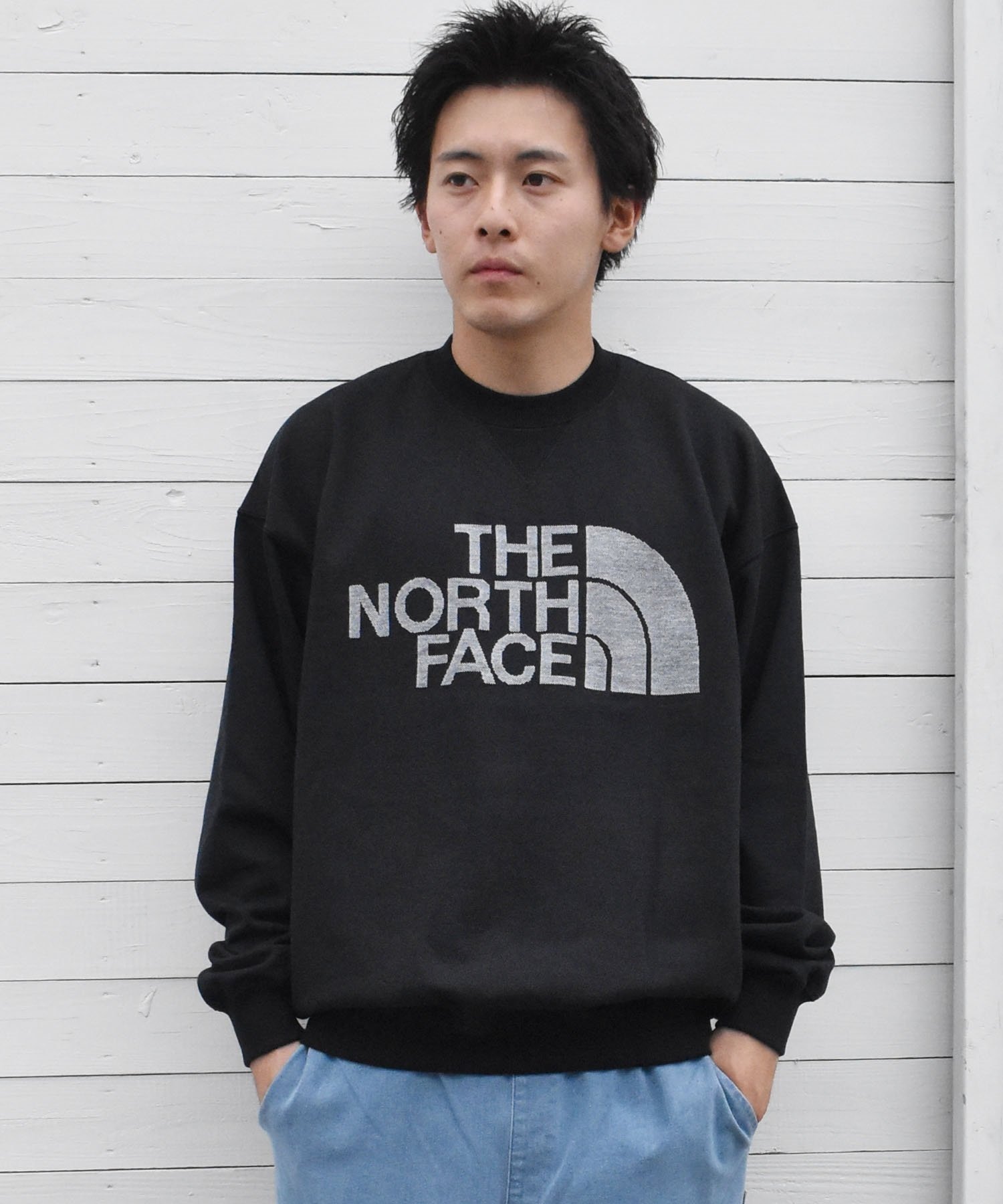 THE NORTH FACE ザ・ノース・フェイス メンズ トレーナー JACQUARD HALF DOME CREW スウェット NT62438(W-M)