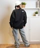 THE NORTH FACE ザ・ノース・フェイス トレーナー クルーネック Zoo Picker Crew ズーピッカークルー NT62434(K-S)