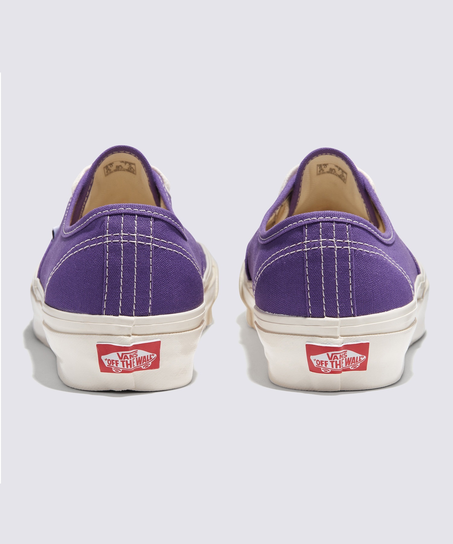 VANS バンズ シューズ スニーカー メンズ レディース MTE オーセンティック MTE Authentic VN000CW2E40(RYPPL-23.5cm)